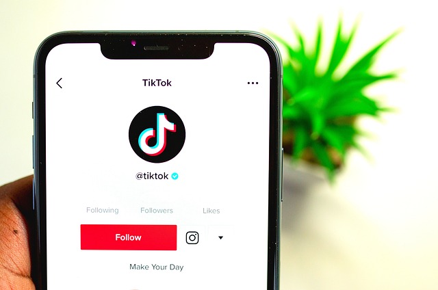 TikTok’ta Viral Olan Şarkılar Listesi TikTok’ta Viral Olan Şarkılar Listesi